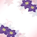 Background of  the clematis flower illustration. Royalty Free Stock Photo