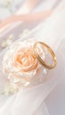 Elegant matrimony Marriage rings with white and pink ribbons backdrop