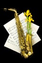 Golden matte finished alto saxophone with yellow iris lilies on black background Royalty Free Stock Photo