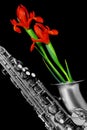 Close up of a silver matte finished alto saxophone with red iris lilies on black background