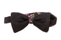 Elegant men's bow tie isolated on the white