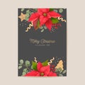Elegant Merry Christmas and New Year Card with Poinsettia Realistic Flowers, Mistletoe. Winter 3d plants design