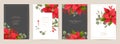 Elegant Merry Christmas and New Year Cards Set with Poinsettia Realistic Flowers, Mistletoe