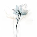 Elegant Minimalistic Flower Illustration With Translucent Layers