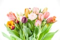 Elegant mixed pastel colored spring bouquet on white background. Spring tulips. Tulips bouquet.