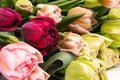 Elegant mixed tulips spring bouquet close up. Spring tulips. Tulips bouquet. Royalty Free Stock Photo