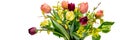 Elegant mixed tulips spring bouquet in white vase on white banner with copy space. Spring tulips. Tulips bouquet.