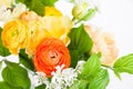 Elegant mixed warm colored spring bouquet close up. Spring flowers. Royalty Free Stock Photo