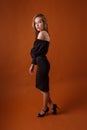 Elegant model wearing black dress and highheel shoes posing on orange background Royalty Free Stock Photo