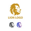 Elegant Modern Animal Design Strong Lion Head Icon Vector Design Template