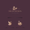 Elegant Modern Animal Illustration Swan Inspiration Vector Design Concept