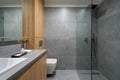 Elegant and modern bathroom with shower Royalty Free Stock Photo