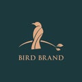 Elegant Modern Bird perched on a branch Illustration Inspiration Design Concept