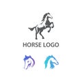 Elegant Modern Mustang Equine Set Logo Design Concept Royalty Free Stock Photo