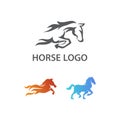 Awesome Vector Set Of Horse Design Inspiration Royalty Free Stock Photo