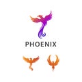 Awesome Vector Set Of Phoenix Bird Design Inspiration