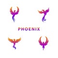 Elegant Vector Set Illustration Phoenix Bird Inspiration Design Concept on Light Background