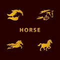 Awesome Vector Set Illustration Mustang Horse Inspiration Design Concept Golden Version on Dark Background Royalty Free Stock Photo