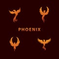 Awesome Vector Set Illustration Phoenix Bird Inspiration Design Flame Concept on Dark Background