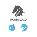 Awesome Illustration Vector Set Collection Horse Design Inspiration Illustration