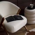 Elegant modern living room interior design with fluffy armchair, pouf, wooden commode, eco leather carpet and modern home