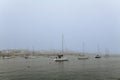 Elegant and modern sailboats moored to a pier in a yacht marina. Thick white fog Royalty Free Stock Photo