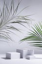 Elegant modern tropical style of showcase for cosmetics product display - white podiums in sunlight with shadow, green palm.