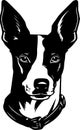 Basenji - black and white isolated icon - vector illustration