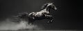 Elegant monochrome horse gallops, casting a minimalist art shadow
