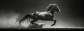 Elegant monochrome horse gallops, casting a minimalist art shadow