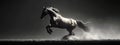 Elegant monochrome horse gallops, casting a minimalist art shadow