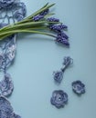 Elegant muscari flowers and an irish lace on a light blue background