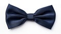 elegant navy blue bow