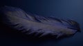 elegant navy feathers