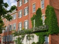 Elegant old vine covered townhouses