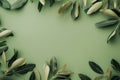 Elegant Olive Branches Arranged on a Pastel Green Background