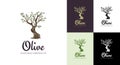 Elegant olive tree isolated icon. Creative olive tree silhouette. Logo design used for advertising products premium