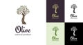 Elegant olive tree isolated icon. Vector tree logo design concept. Olive tree silhouette illustration. Natural olive oil Royalty Free Stock Photo