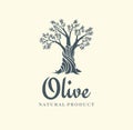 Elegant olive tree isolated icon. Vector tree logo design concept. Olive tree silhouette illustration. Natural olive oil Royalty Free Stock Photo