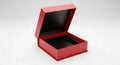 Elegant open red gift box with velvet interior lining Royalty Free Stock Photo