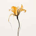 Elegant Orange Flower Drawing With Minimalistic And Ethereal Style