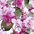 Elegant orchid pattern for home decor