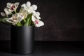 Elegant Orchids in a Modern Black Vase