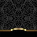 Elegant ornate Background with border for design.