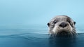 Elegant Otter Swimming In A Beautiful Blue Background