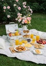 Elegant Outdoor Picnic with Pastries and Fruit Royalty Free Stock Photo