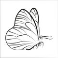 Elegant outline butterfly on white background.