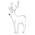 Elegant outline drawing of deer collection. Vector illustration