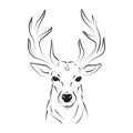 Elegant outline drawing of deer, vector illustration