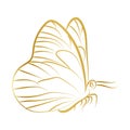 Elegant Outline golden butterfly on white background.